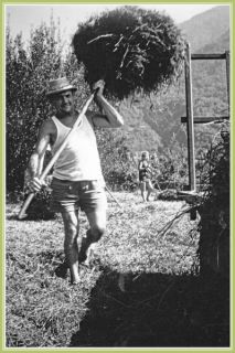 Les foins - G. Neyroud, août 1967. Fonds J.B. / CCA