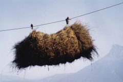 en montagne, le foin pouvait être approché des chars par cable. Fonds MmeL. / CCA