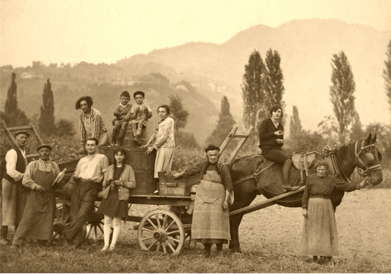 Les vendanges
