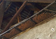 Séchage des noix sous les auvents - photo A.D. / CCA