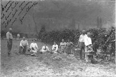 La récolte des pommes de terre : la famille Fantin et ses invitées parisiennes, probable photo M. Neyroud - Vers 1904 - Fonds A.O. / CCA