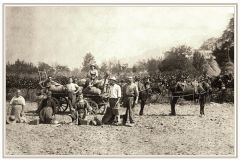 La récolte des pommes de terre : la famille Fantin, probable photo M. Neyroud - Années 1910  - Fonds F.F. / CCA